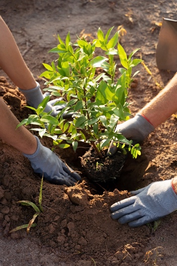Seedling International School Campus Life